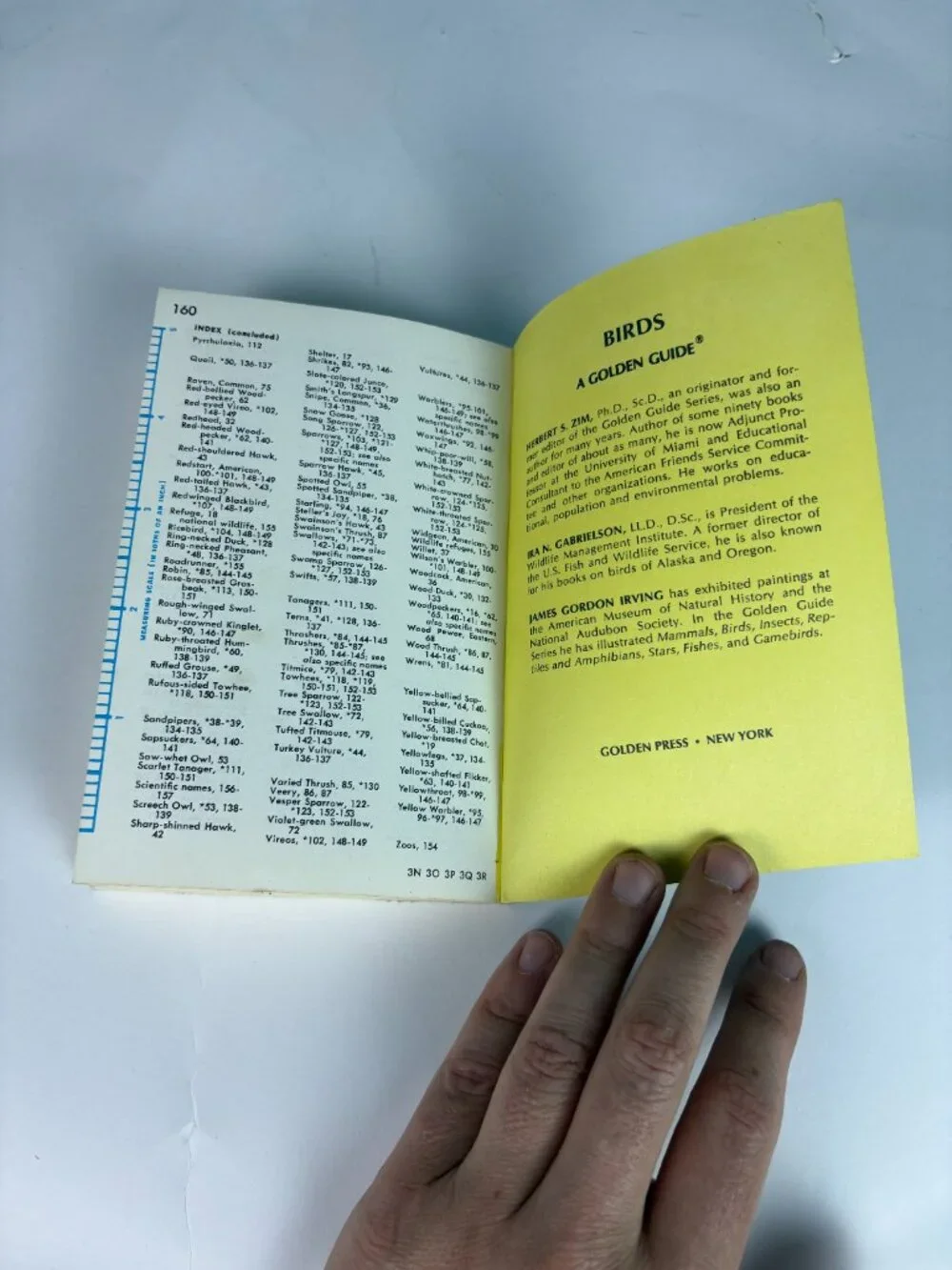 Vintage Golden Guide Birds Field Guide Book by Zim & Gabrielson | Pocket Bird Id